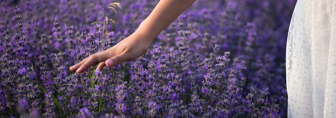 développement personnel